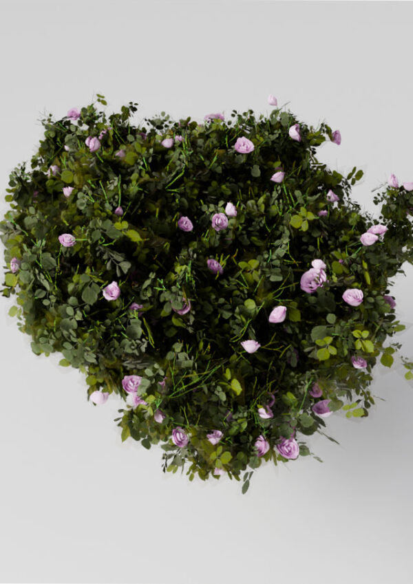 Flower 2